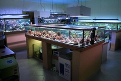 Killikus&reg; Fotographie